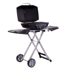 Pit Boss 2-Burner Portable Gas Grill With Collapsible Cart